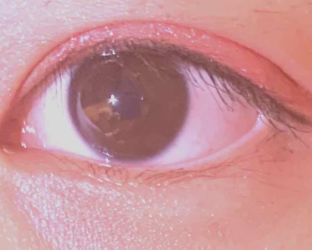 クイックラッシュカーラー/キャンメイク/マスカラ下地を使ったクチコミ（1枚目）