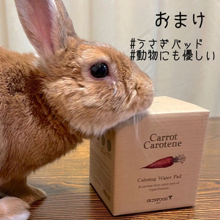 キャロットカロテン カーミングウォーターパッド/SKINFOOD/トナーパッドを使ったクチコミ(6枚目)