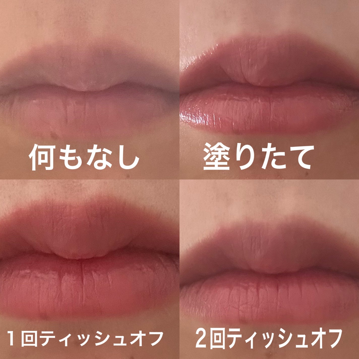 ネンマクフェイク ルージュ/Visée/口紅を使ったクチコミ(3枚目)