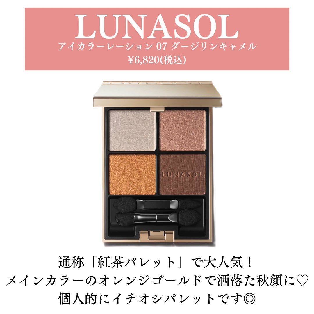 スキンモデリングアイズ/LUNASOL/アイシャドウパレットを使ったクチコミ（3枚目）