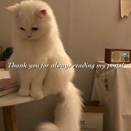 グラスティングカラーグロス/rom&nd/リップグロスを使ったクチコミ(3枚目)