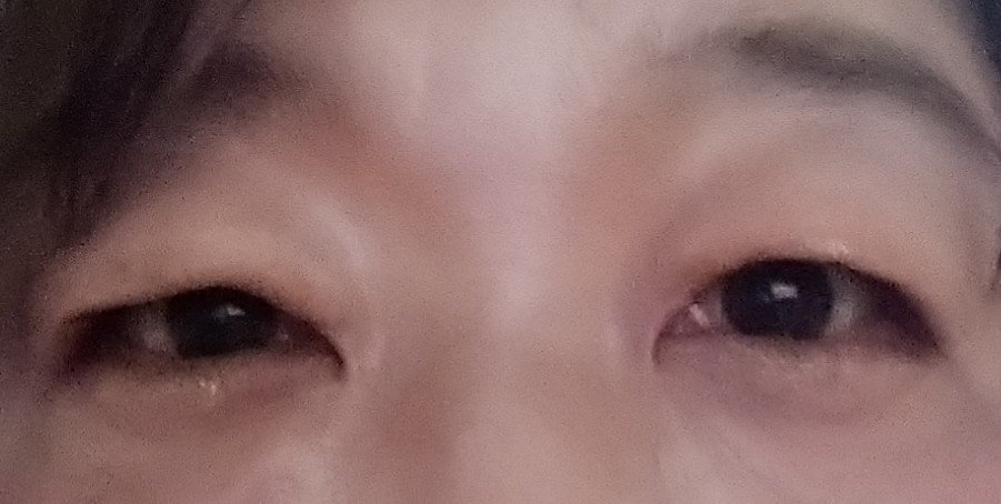 レトロマグネティック アイシャドウパレット/FlowerKnows/アイシャドウパレットを使ったクチコミ（2枚目）