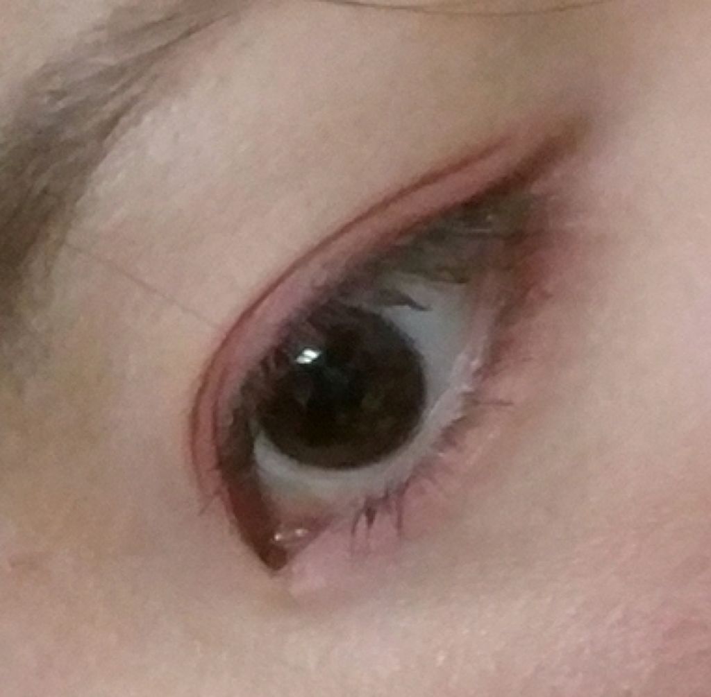 グロウフルールチークス/キャンメイク/パウダーチークを使ったクチコミ(3枚目)