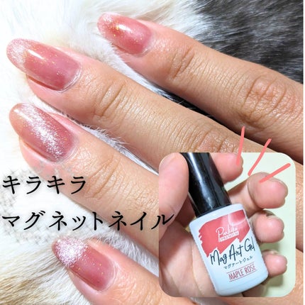 パルP マグアートジェル/parkikoi/ジェルネイルを使ったクチコミ(1枚目)