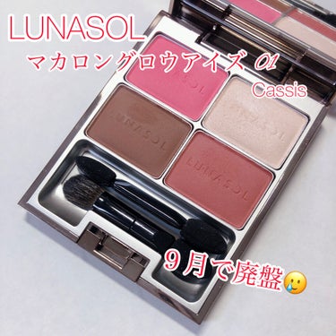 マカロングロウアイズ/LUNASOL/アイシャドウパレットを使ったクチコミ（3枚目）