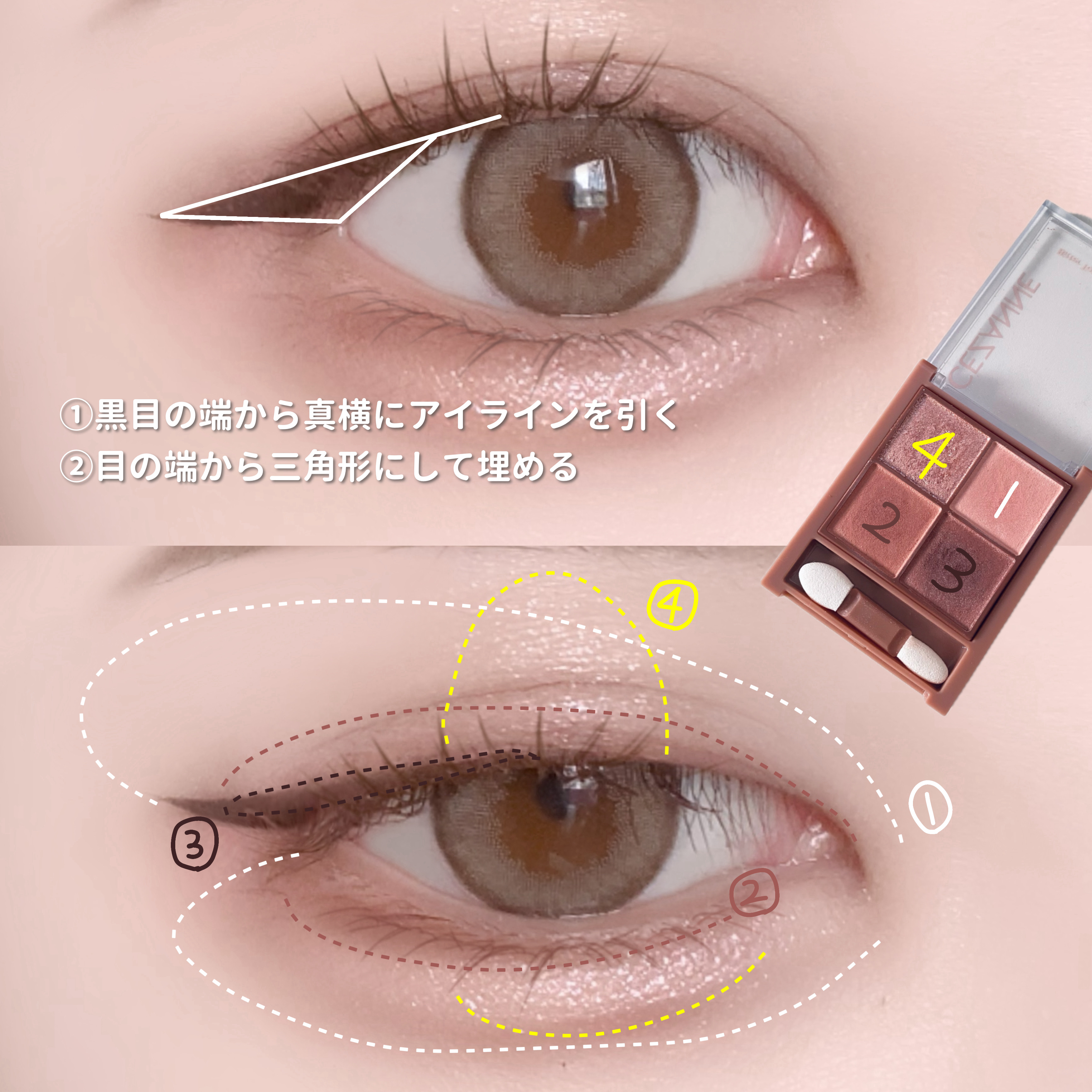 ポイントメイクアップブラシセット/ロージーローザ/メイクブラシを使ったクチコミ（2枚目）