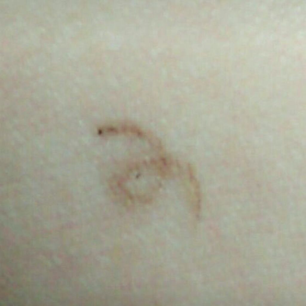 URGLAM EYEBROW PENCIL(アイブロウペンシル)/U R GLAM/アイブロウペンシルを使ったクチコミ(4枚目)