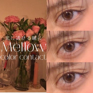 Petit Pechy Oneday GLOW EDITION MOLY PINK/Torico Eye./カラーコンタクトレンズを使ったクチコミ（1枚目）