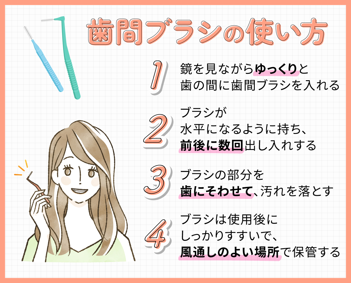 歯間ブラシの使い方は、鏡を見ながらゆっくりと歯の間に歯間ブラシを入れる。ブラシが水平になるように持ち、前後に数回出し入れしブラシの部分を歯にそわせて、汚れを落とす。ブラシは使用後にしっかりすすいで、風通しのよい場所で保管する。