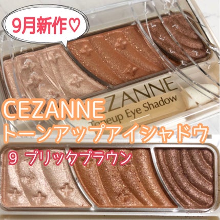 トーンアップアイシャドウ/CEZANNE/アイシャドウパレットを使ったクチコミ(1枚目)