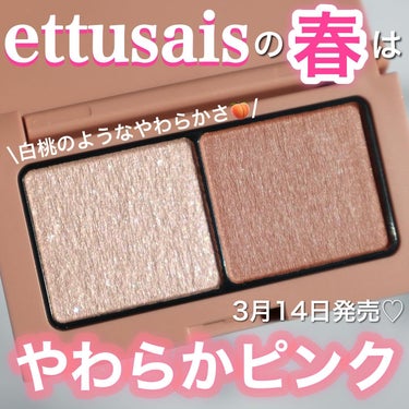 アイエディション(カラーパレット)/ettusais/アイシャドウパレットを使ったクチコミ（1枚目）