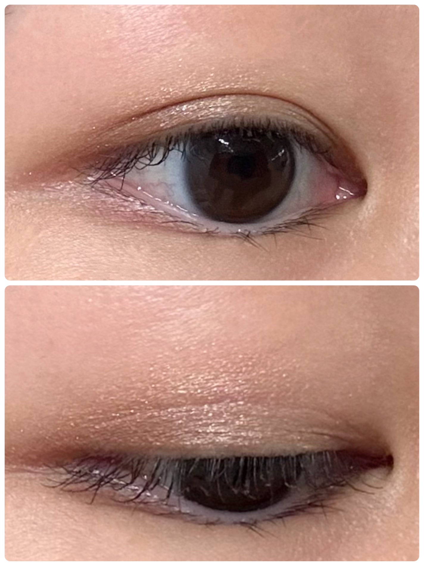 セレクション・ドゥ・ショコラアイズ/LUNASOL/アイシャドウパレットを使ったクチコミ(3枚目)