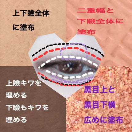 フルショット ルーティーン アイパレット/A’pieu/アイシャドウパレットを使ったクチコミ(2枚目)