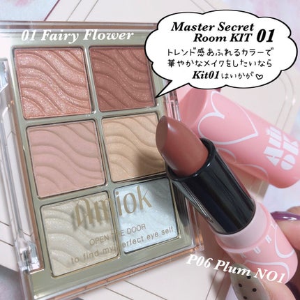 マスターシークレットルームキット/AMIOK/アイシャドウパレットを使ったクチコミ(4枚目)