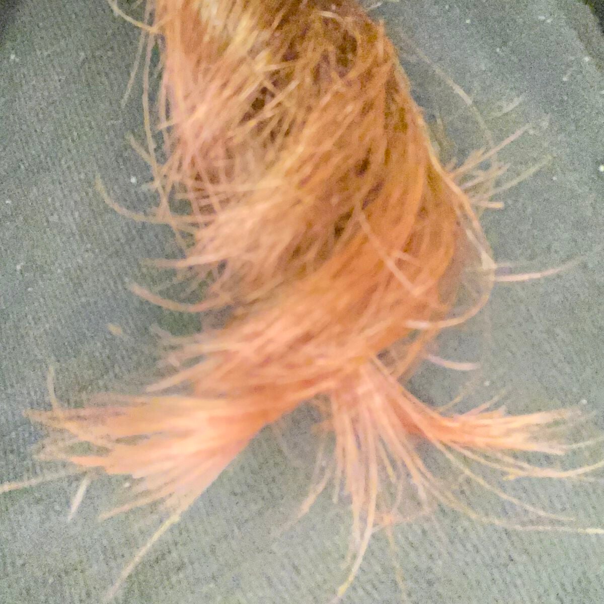 COLORR GENERATION/カラージェネレーション/ヘアカラーを使ったクチコミ(4枚目)