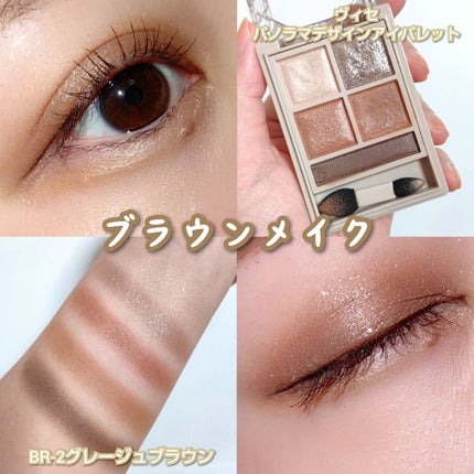 パノラマデザイン アイパレット/Visée/アイシャドウパレットを使ったクチコミ(1枚目)