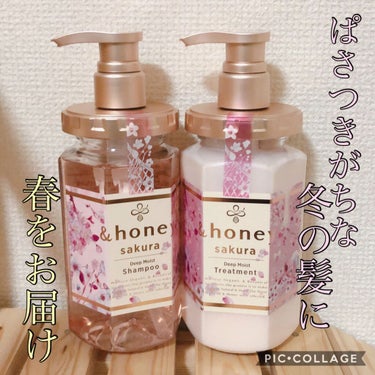 サクラ ディープモイスト シャンプー1.0/ヘアトリートメント2.0 2020年限定パッケージ/&honey/シャンプー・コンディショナーを使ったクチコミ（1枚目）