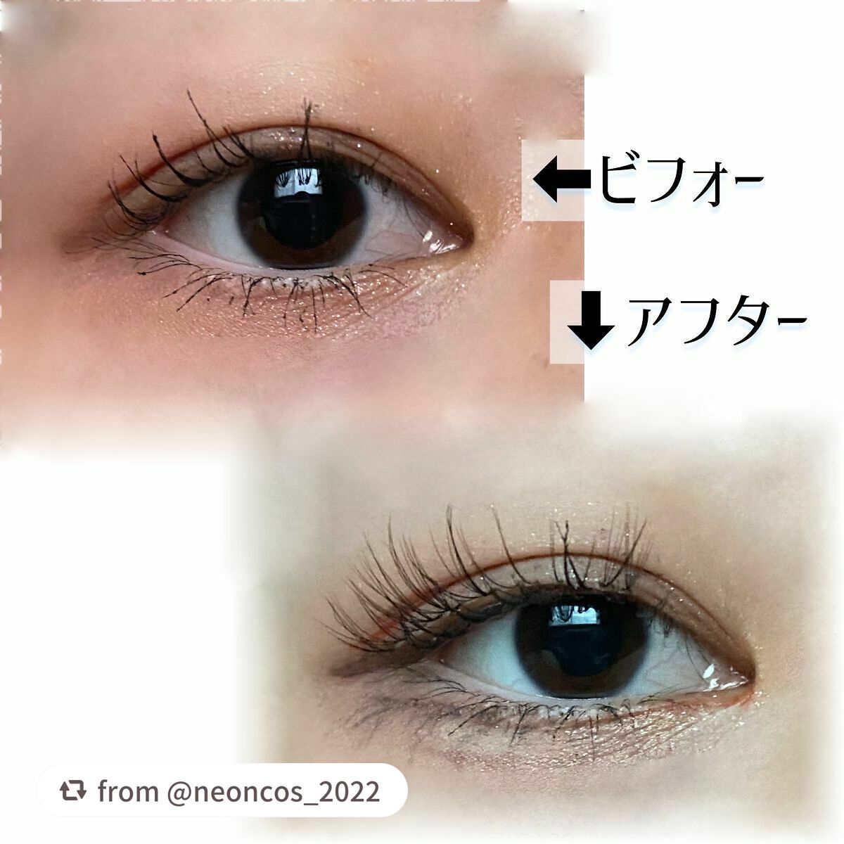 デコラティブアイラッシュ/Decorative Eyes/その他を使ったクチコミ(6枚目)