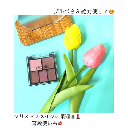 マルチアイパレット/U R GLAM/アイシャドウパレットを使ったクチコミ(1枚目)