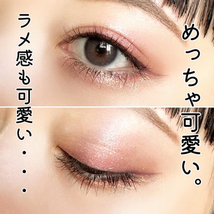 エクスプローラ12色 動物アイシャドウパレット/PERFECT DIARY/アイシャドウパレットを使ったクチコミ(5枚目)