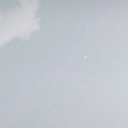 スキンアクア トーンアップUVエッセンス/スキンアクア/日焼け止めクリームを使ったクチコミ(1枚目)