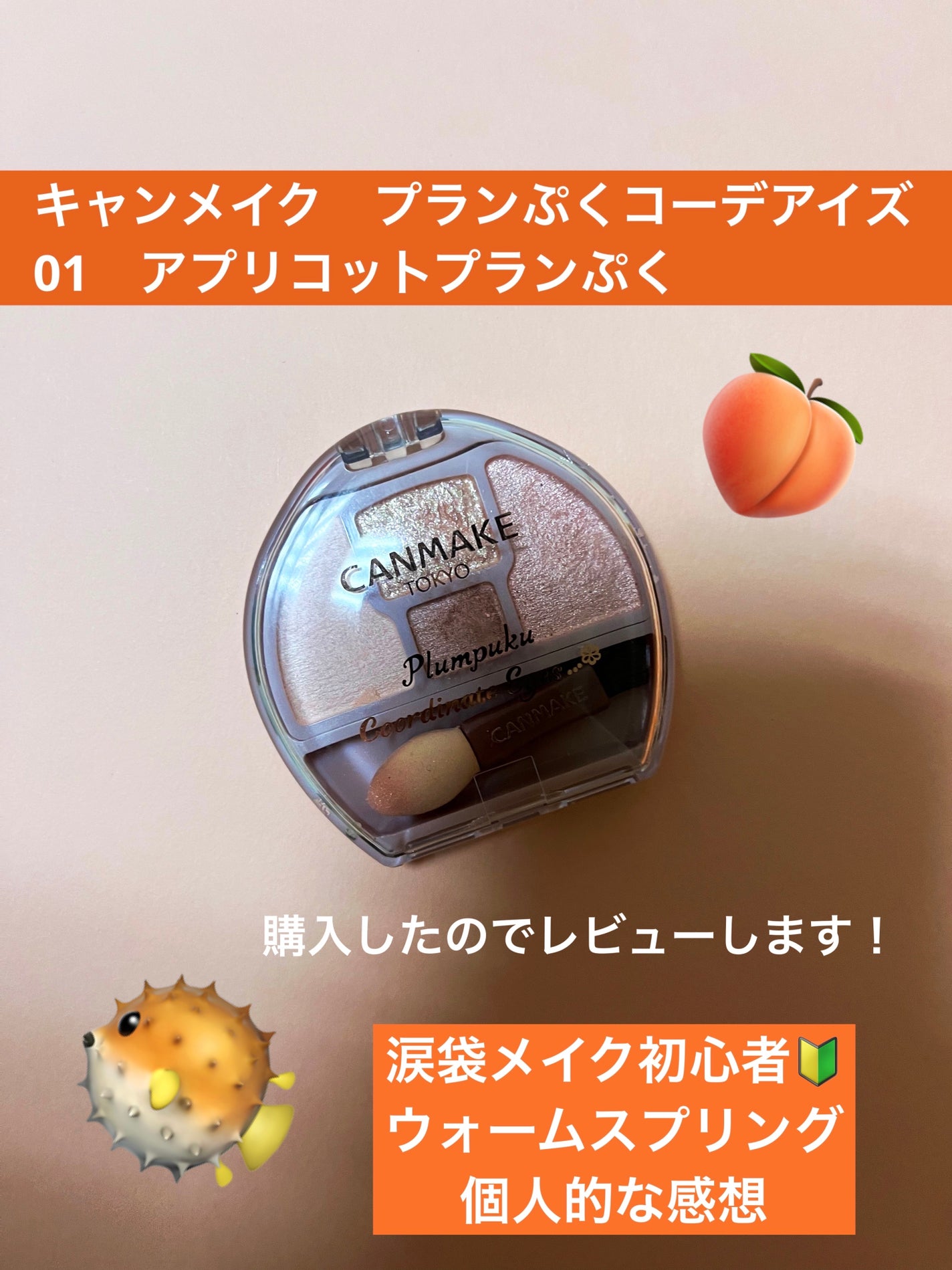 プランぷくコーデアイズ/キャンメイク/パウダーアイシャドウを使ったクチコミ(1枚目)