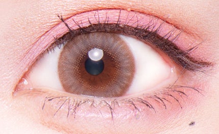 パールライトブラウン(ぽんぽこたぬき)