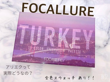 GO TRAVEL 15色アイシャドウパレット/FOCALLURE/アイシャドウパレットを使ったクチコミ（1枚目）