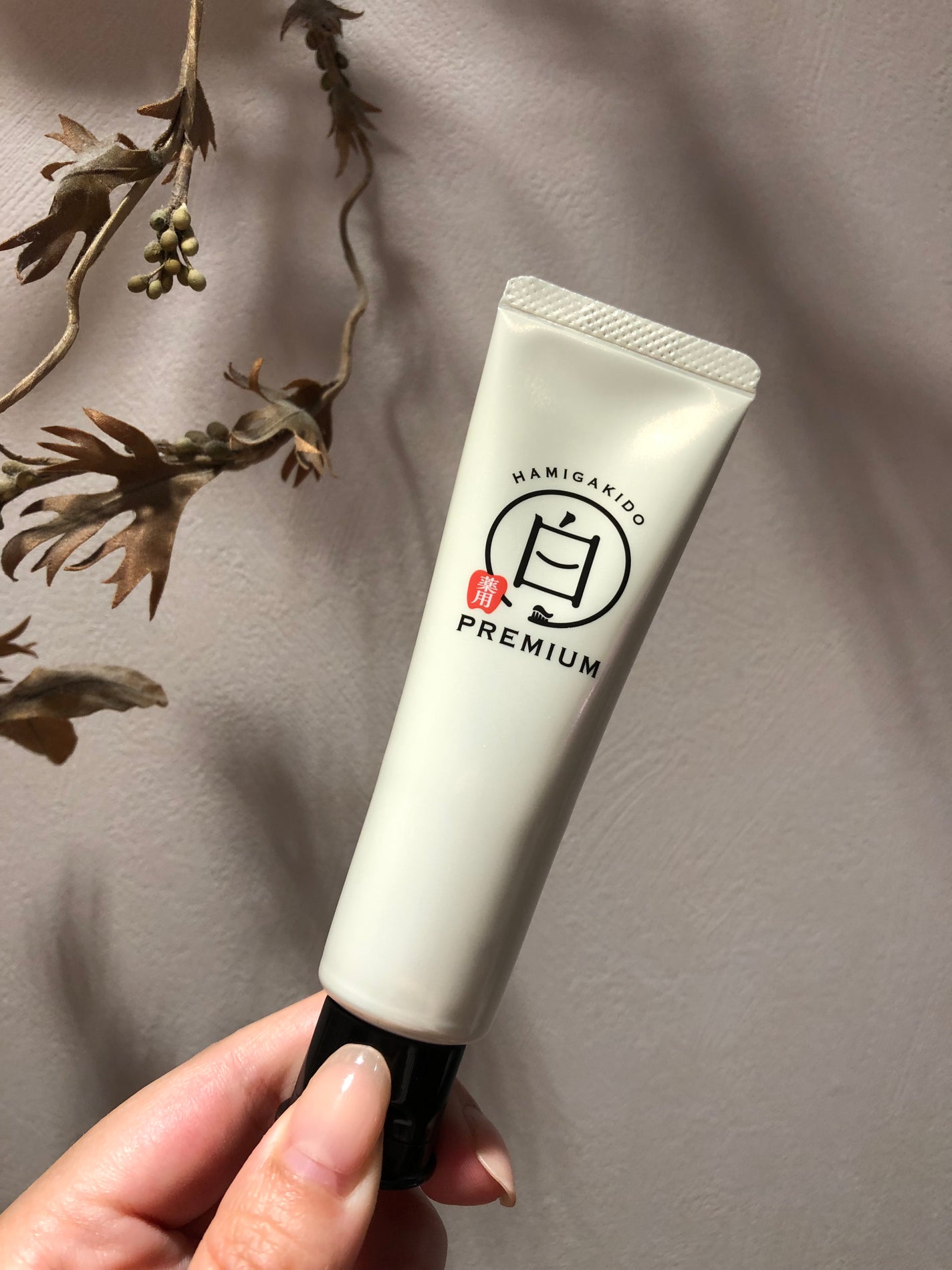 歯磨き堂 薬用ホワイトニングペースト プレミアム/歯磨き堂/歯磨き粉を使ったクチコミ(3枚目)