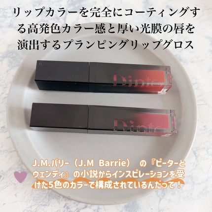 ディープキスド プランピング リップエナメル/Dinto/リップグロスを使ったクチコミ(2枚目)