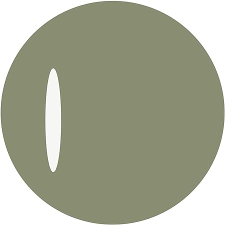 カラージェル 120S リキューチャ