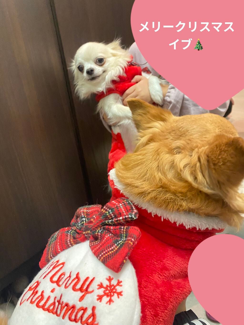 H&Mウォータートリートメント/KUNDAL/洗い流すヘアトリートメントを使ったクチコミ(5枚目)