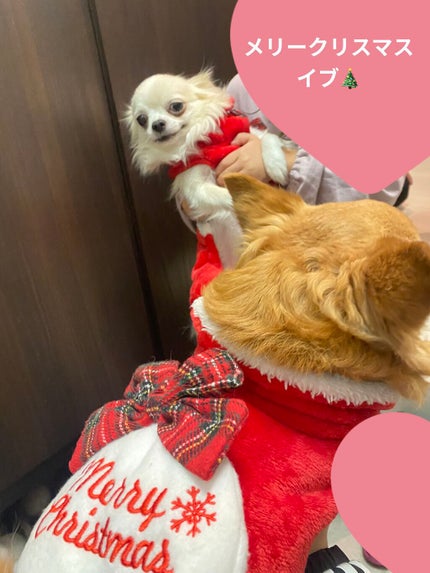 H&Mウォータートリートメント/KUNDAL/洗い流すヘアトリートメントを使ったクチコミ(5枚目)