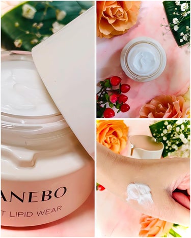 KANEBO カネボウ ナイト リピッド ウェアのクチコミ「
🌸KANEBO 
🌕カネボウ ナイト リピッド ウェア
40ml/8,800yen
⁡
⁡
.....」（2枚目）