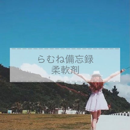 SHIRO ホワイトティー ランドリーリキッドのクチコミ「
SHIRO ホワイトティーランドリーリキッド
使用感レポ 🗒
✔︎ㅤ香りはミストや.....」(1枚目)