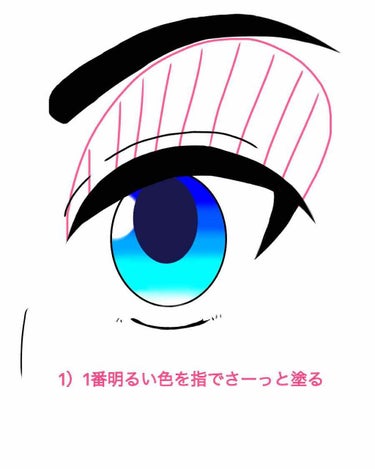 しゅけっと on LIPS 「かなり個人的な話になるけど、4色以上のアイシャドウがイマイチ上..」（1枚目）