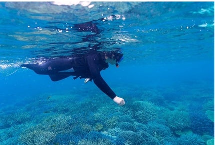 ひふみレイキ💫フォロバ♾️ on LIPS 「#冬に備えるうるおいケア沖縄ハネムーン備忘録👰♀️天国の名に..」(6枚目)