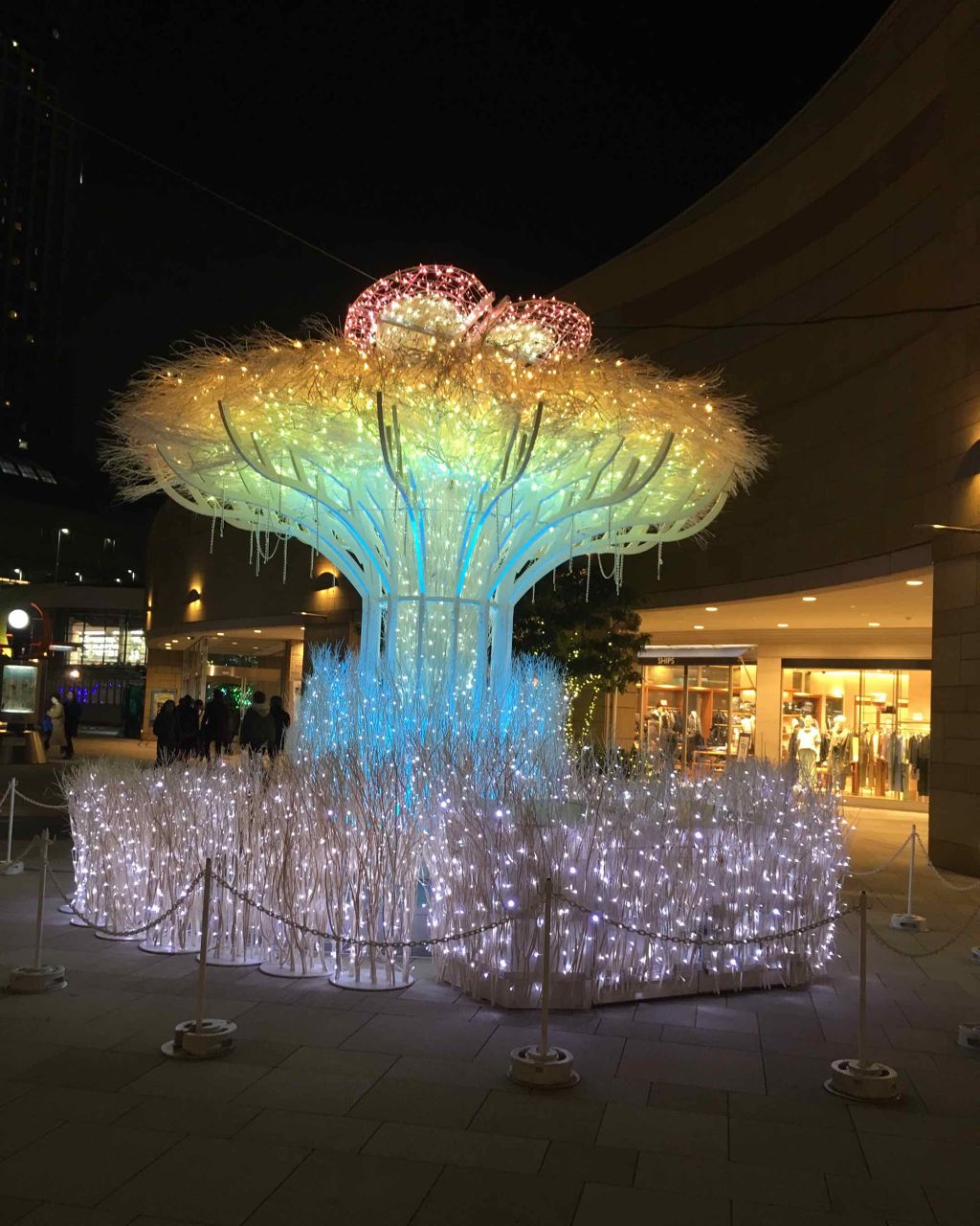 ジェリータッチスポンジ ハウス型/ロージーローザ/パフ・スポンジを使ったクチコミ(3枚目)