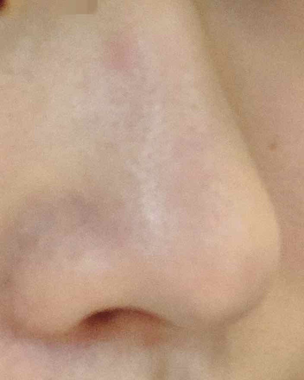 ノーセバム ミネラルパウダー/innisfree/ルースパウダーを使ったクチコミ(3枚目)