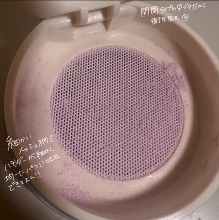 ピクシーダスト ルースパウダー フィニッシュパウダー /Dinto/ルースパウダーを使ったクチコミ(4枚目)