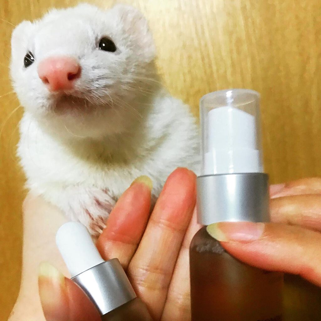 コンブチャギョルバイオムアンプル/Elishacoy/美容液を使ったクチコミ（2枚目）