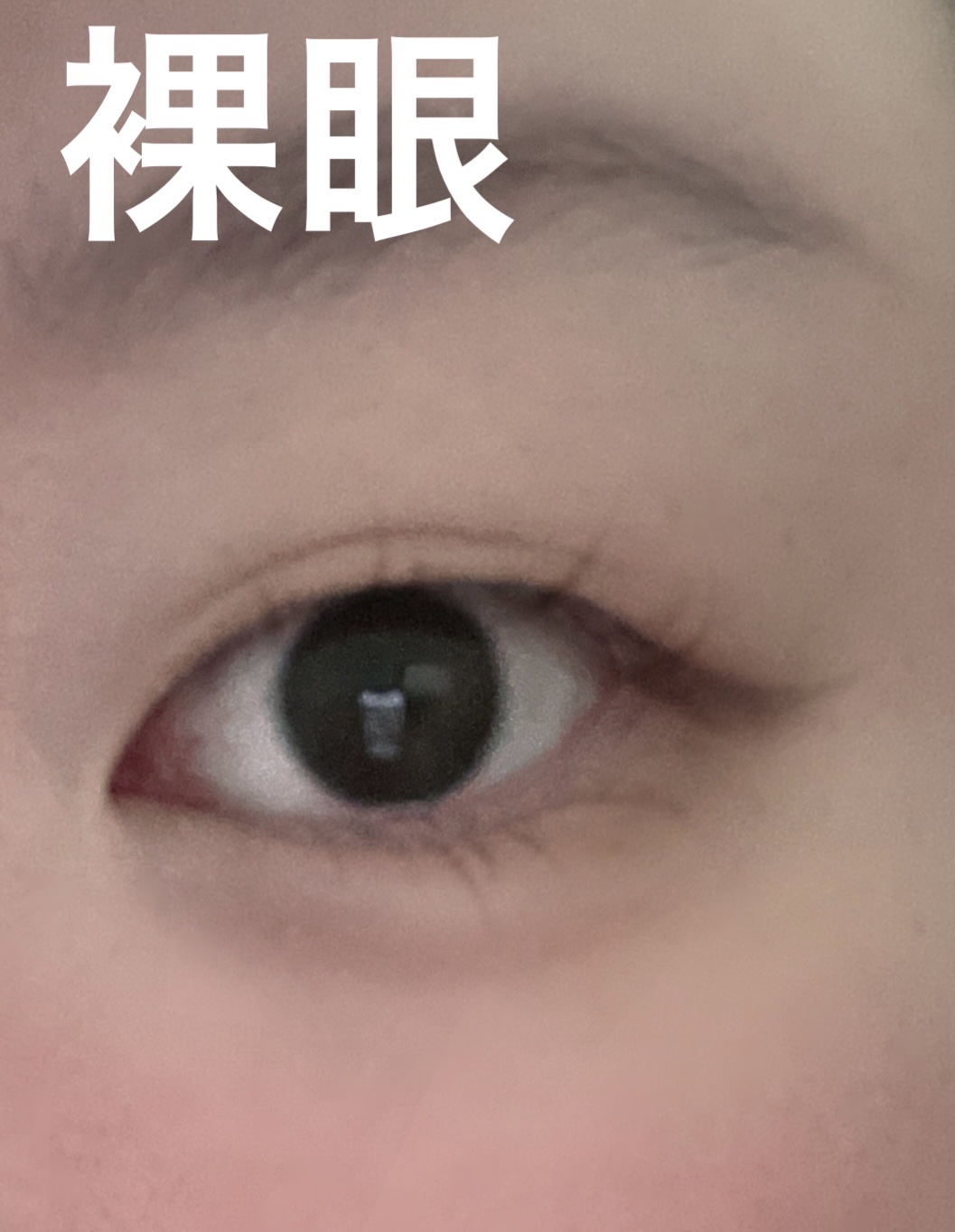 Secret Candy MAGIC/secret candymagic/１ヶ月（１MONTH）カラコンを使ったクチコミ（3枚目）