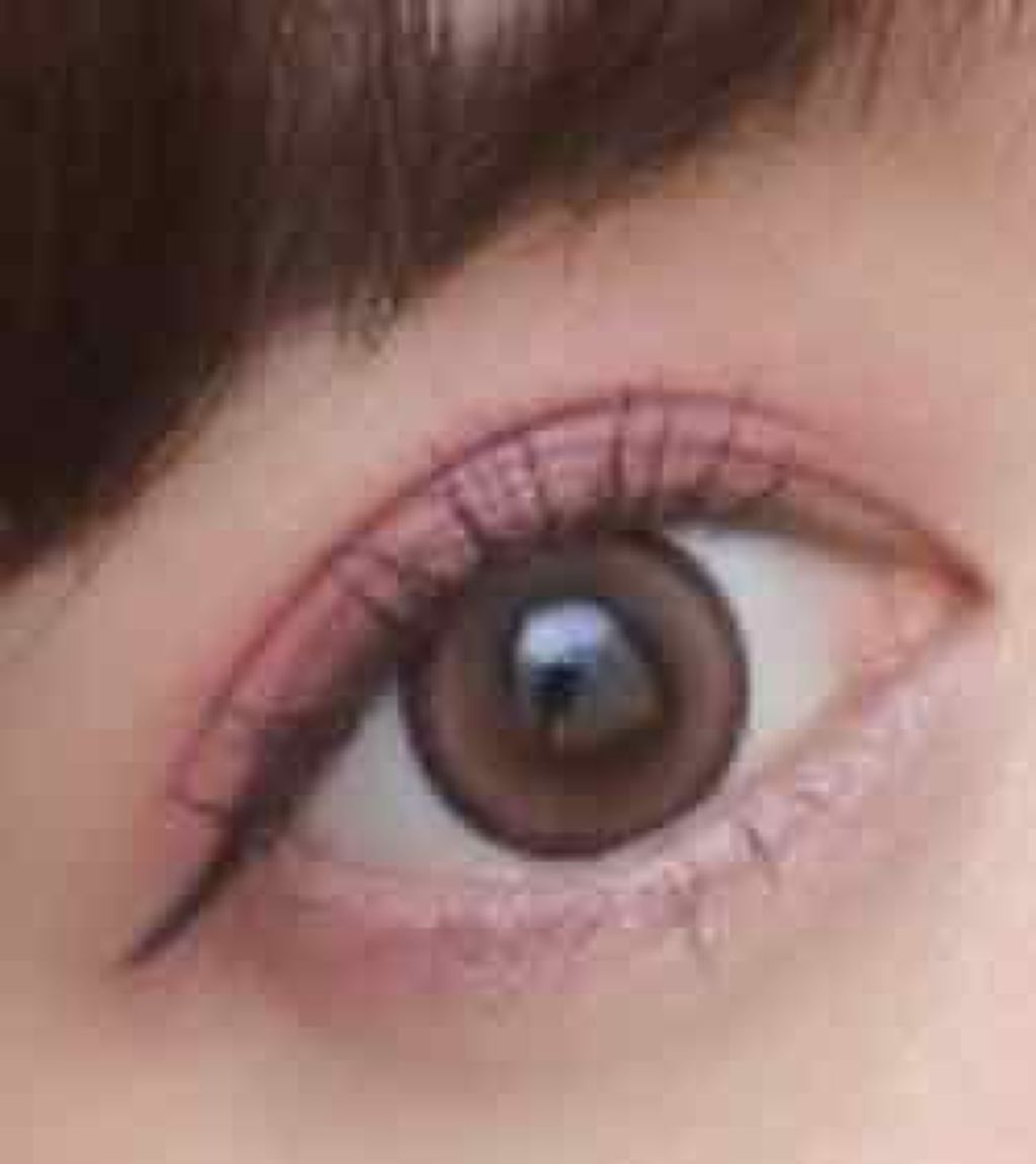 【旧品】パーフェクトスタイリストアイズ/キャンメイク/アイシャドウパレットを使ったクチコミ（1枚目）