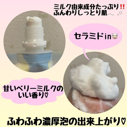 はい!みるく特濃 クリームウォッシュ/ロゼット/洗顔フォームを使ったクチコミ(2枚目)