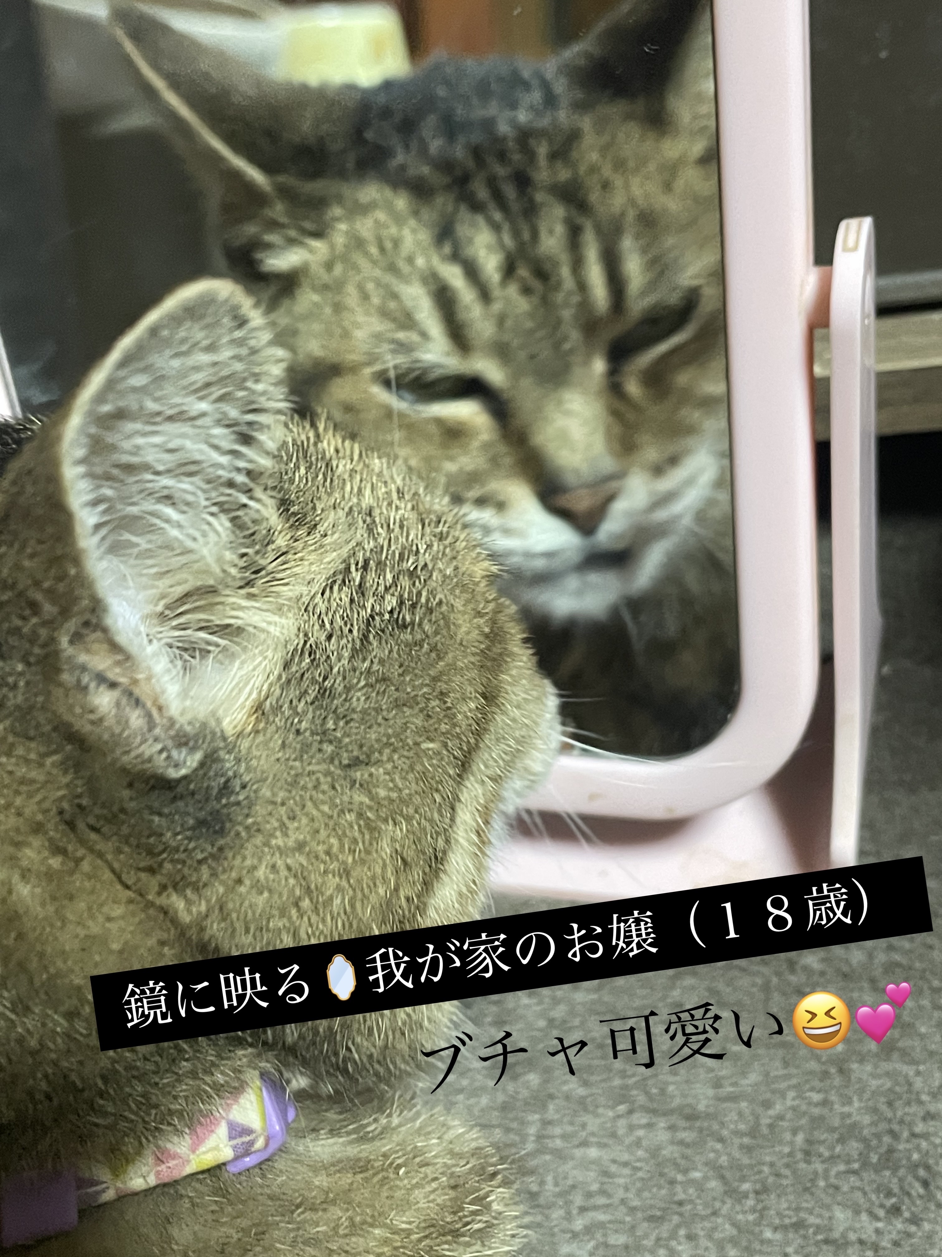 リップモンスター クリアトーン/KATE/口紅を使ったクチコミ（2枚目）