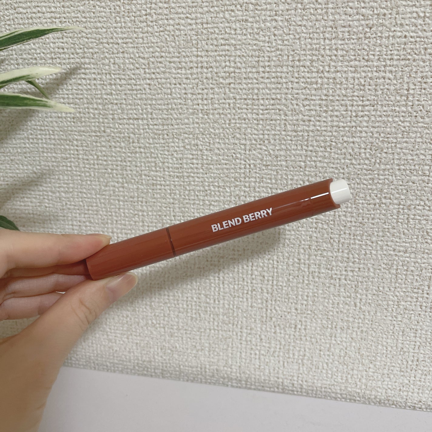 ブレンドベリー リップバルーン/BLEND BERRY/口紅を使ったクチコミ(4枚目)