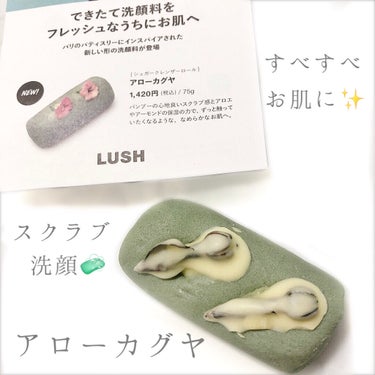 *LUSH  アローカグヤ*
¥1420

洗い上がりとってもすべすべで驚きました👀
パワーマスク以来の感動です！
つっぱる感じもしないし、良い香りです☺︎

ちょっと気になる点は、公式写真のお花満開🌸