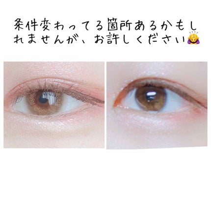 Angelcolor Bambi Series Vintage 1day/AngelColor/ワンデー(1DAY)カラコンを使ったクチコミ(3枚目)