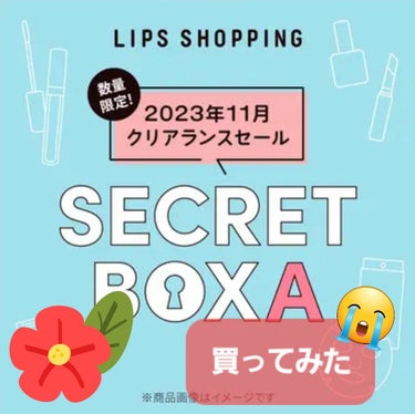 【2023年11月 クリアランスセール】シークレットボックス A/LIPS/その他キットセットを使ったクチコミ（1枚目）