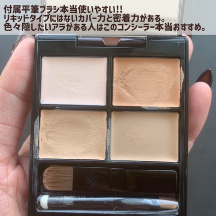 トーンパーフェクティング パレット/DECORTÉ/パレットコンシーラーを使ったクチコミ(5枚目)
